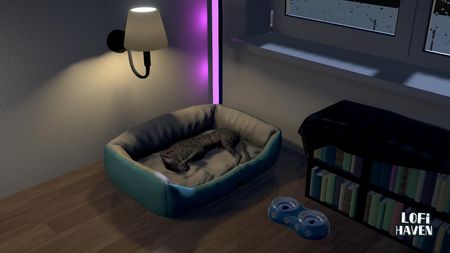 Pet cat in the room