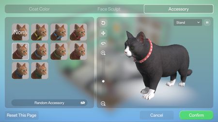 Pet accessory customisation